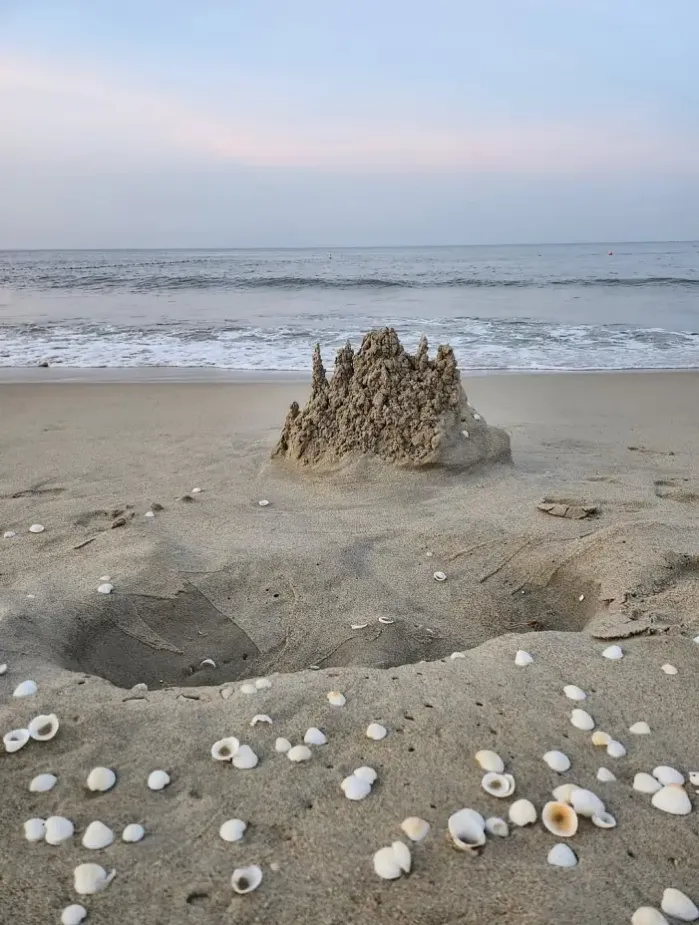 맥심투어 가이드 서비스 덕분에 정말 편안하고 특별한 시간을 보낼 수 있었습니다