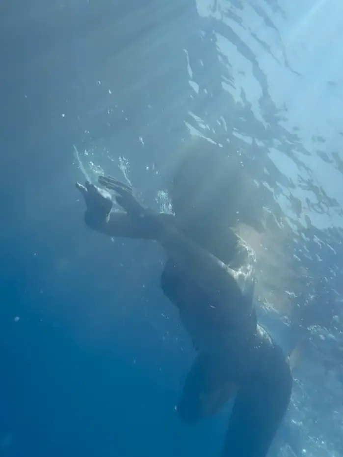 베트남 나트랑으로의 여행, 복잡한 계획 없이 온전히 휴식에만 집중하고 싶어 맥심투어의 문을 두드렸습니다