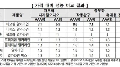 다이소 건전지 근황