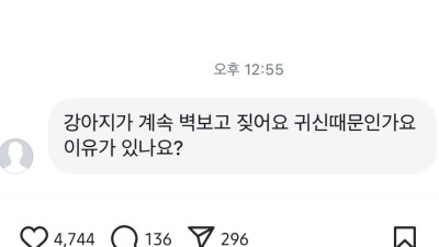 소름 돋는 개통령 강형욱 인스타 게시글