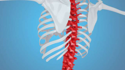 제작자의 설계를 무시하고 업그레이드한 대가