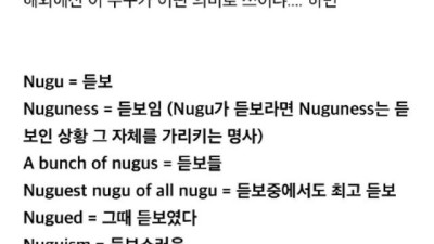 해외 K팝 팬들 사이에서 사용되는 의외의 한국어