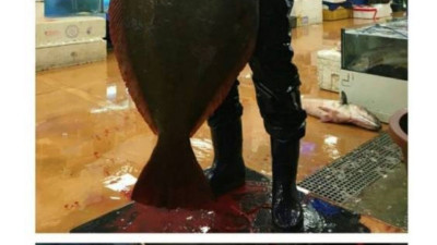 광어 한마리로 눈탱이 맞은 사연