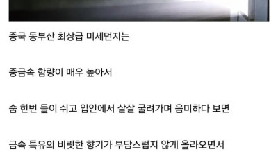 미세먼지 갤러리 근황