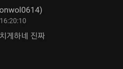 한화응원하면 오함마로 자기 머리 쳐달라던 스트리머 문월 한화경기 반응