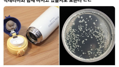 텀블러 매일 세척하지 않으면 벌어지는 일