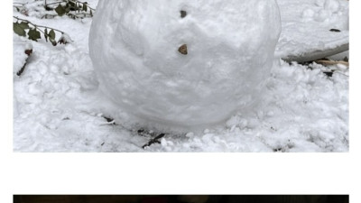 밤에 눈사람을 만들었더니