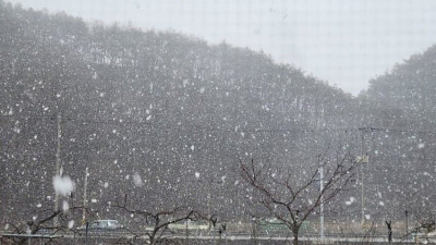 산불로 난리났던 경북 근황.