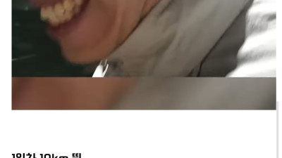 어느 크리에이터의 공약