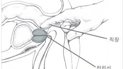 직장에서 기분 좋아지는 상황