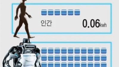 걷기로 살 빼는게 힘든 이유