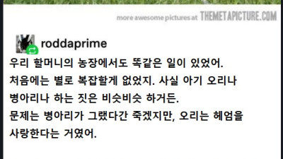 낳은 정보단 기른 정이라더니