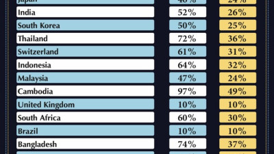 미국 관세의 역설