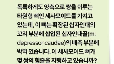 인류최후의 보루