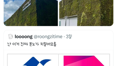 디자인 암흑기의 시대에 한껀 한 부산광역시