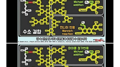 일본에도 알려진 한류음식조합