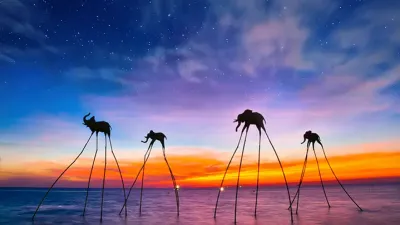 푸꾸옥 완전정복 3박4일팩 (4일) 현지인 한국어 가이드 / #호치민요트투어 #호치민커플여행 #호치민여행 #호치민커플 #호치민골프여행